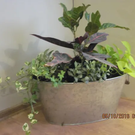 Apartment Pirin Sofia